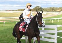 As luck would have it