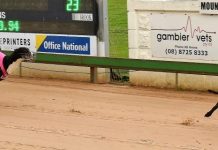 The Cobra strikes back