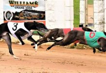 Drew family runners fire up in Border Challenge heat