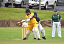 Tigers claim dominant win