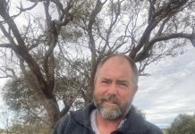 Feral rabbits to be targeted