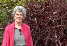 Palliative boost not enough for Limestone Coast