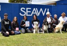 ‘Wonderful’ donation keeps tails wagging