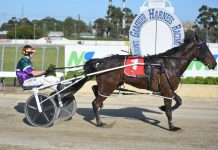 Qualified for the Jericho Cup