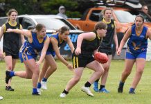 Tigers and Eagles favoured