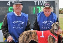 Back among the winners