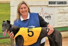 Littermates impress at first local appearance