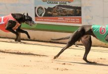 South-East hotels up for the challenge