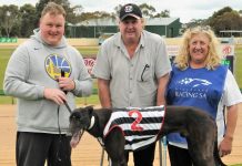 Worms Are Biting continues the chase for charity