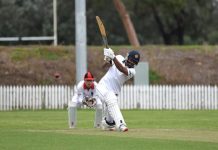 Bulldogs assert authority against ladder-leaders