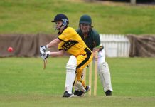 Women’s cricket at Frew Park