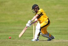 Tigers look to continue winning streak