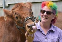 Animals teach students life skills