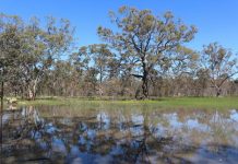 Water allocation review underway