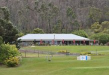 Christmas birdies up for grabs