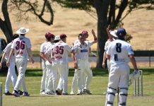 Roos toppled by Demons