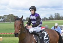 Fourth hometown cup for Dodson