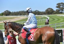 Another cup on the shelf