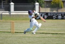 Millicent and Naracoorte cricket back in action