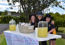 Homemade lemonade spreads charitable spirit