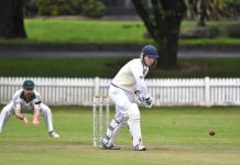 Eagles back at McCorquindale Park