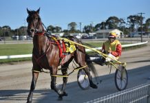 Barrier draws hindering chances