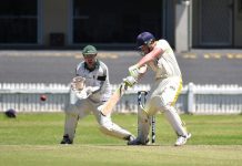 McInerney ton guides Tigers to rampant victory