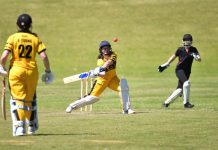 Premiership glory for North