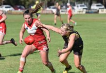 Football returns to South East