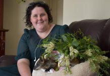 Holidays see increase in injured wildlife