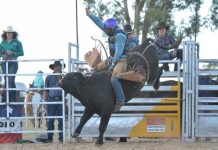 Rodeo hits Penola