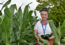 Community garden blooms