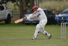 Demons travel to Malseed Park