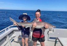 Heat and breeze challenge anglers