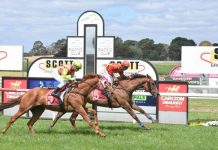 Summer cup season is here