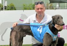 Another quick time-graded winner for Katsiris