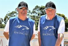 Many winners continue for Koroit syndicate