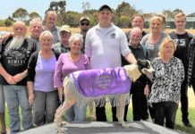 Memorial win highlights big day for local training team