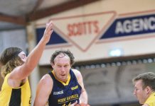 Hornets prove nemesis