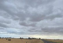 Slashing clarification