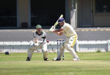 Tigers look to continue impressive run