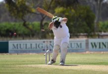 Tigers dominate on Day 1