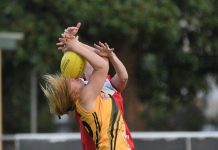 Tigers too strong on home deck