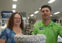 Animals on show this March