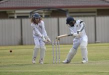 Bulldogs bite hard at home