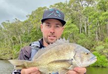 Anglers embrace stir