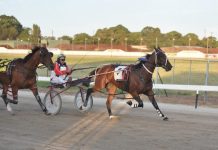 Childhood dream come true