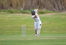 Bulldogs too good for Tigers