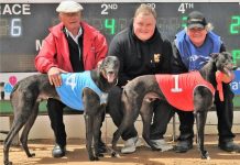 Little’s litter well represented in Fast Forward final