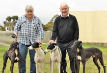 The Summer Classic’s ‘backyard blitz’